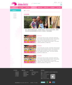 网站设计、开发与运营 打造成功在线体验的三部曲